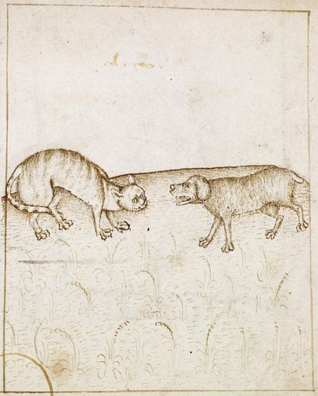 512px-French_-_To_Agree_Like_Cat_and_Dog_-_Walters_W31330R_-_Detail_A