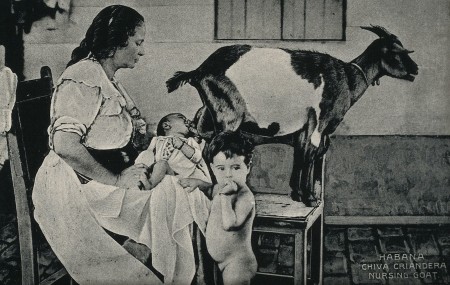 A_woman_holding_a_baby_who_is_feeding_from_a_goat_Wellcome_V0049890